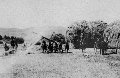 Early haying in Kamas Valley