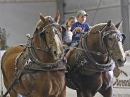 A young boy and girl riding on one of a pair of horses