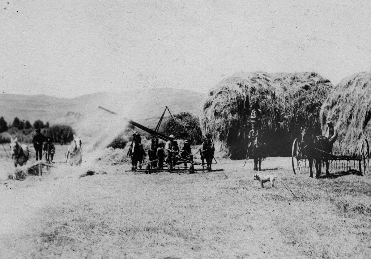 Early haying in Kamas Valley